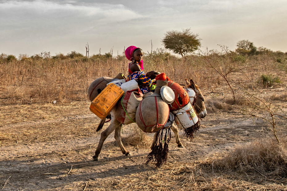 Fulbe Kanoumoudji tribe