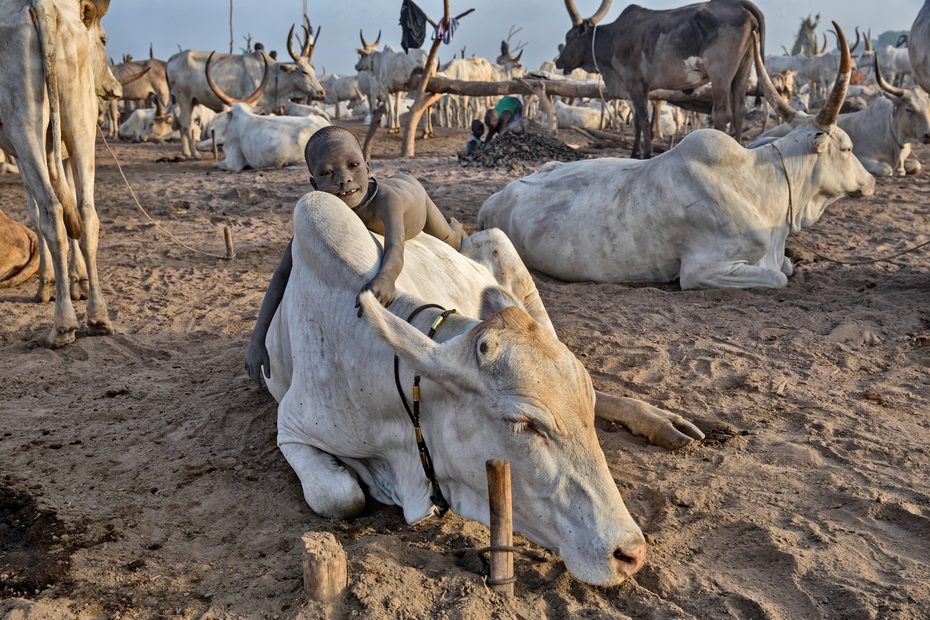 Mundari tribe